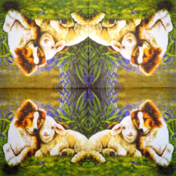 350 Dogs - 3-ply - Specials